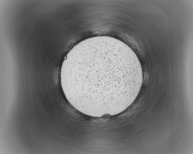 X0000111051012200907231551