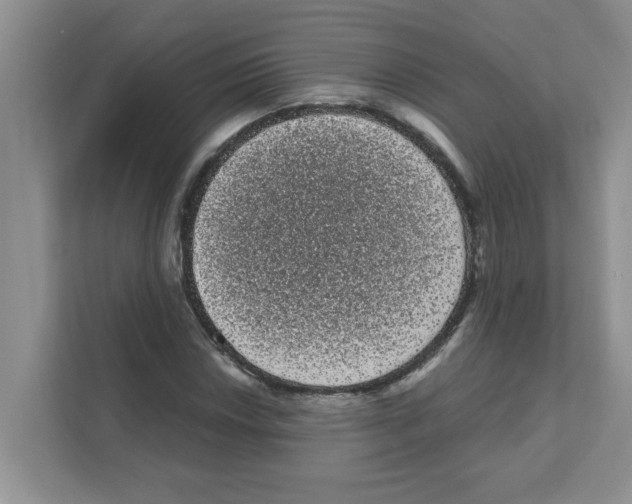 X0000111051018200907231551