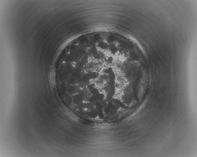 X0000111051019200907231551