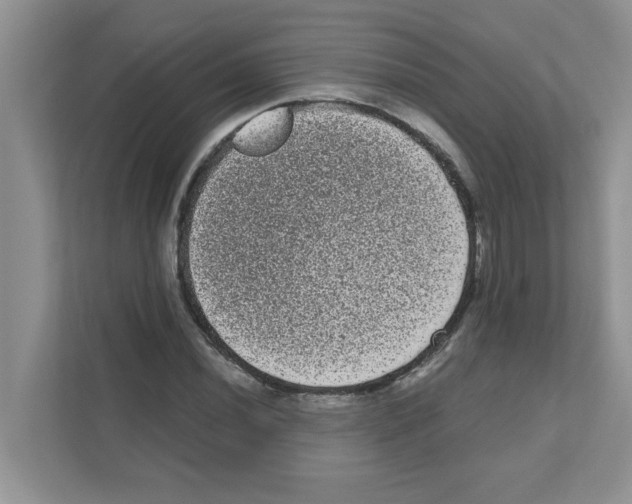 X0000111051020200907231551