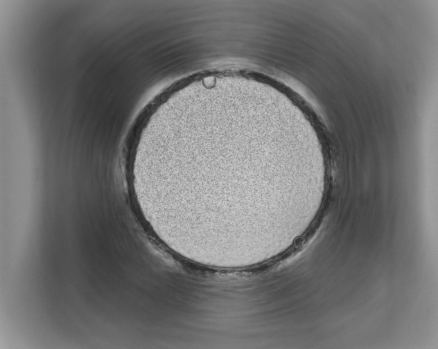 X0000111051022200907231551