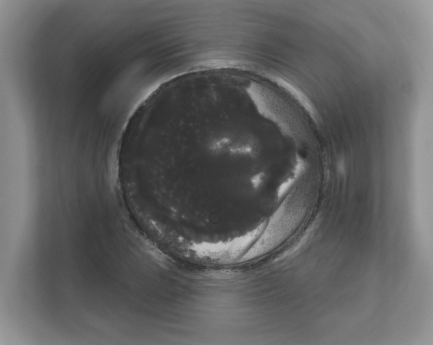 X0000111051023200907231551