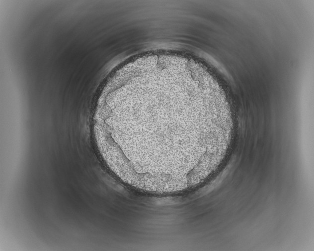 X0000111051025200907231552