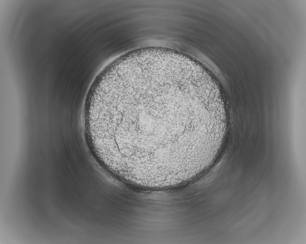 X0000111051028200907231552