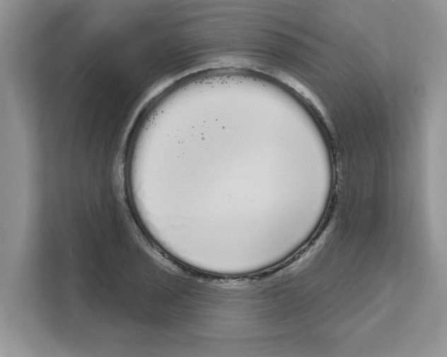 X0000111051029200907231552