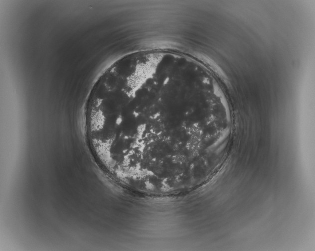 X0000111051031200907231552