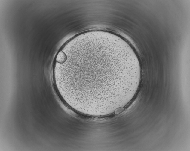 X0000111051034200907231552