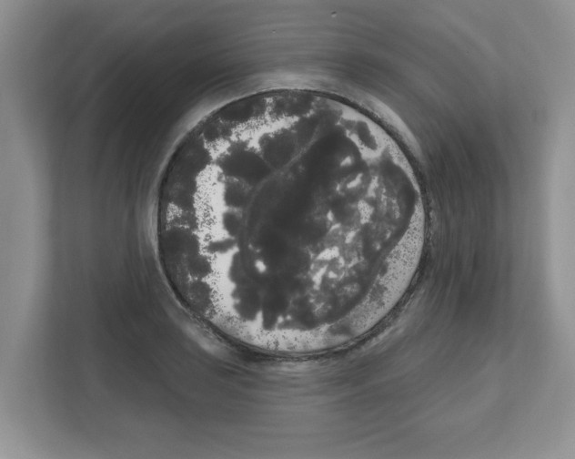 X0000111051035200907231552