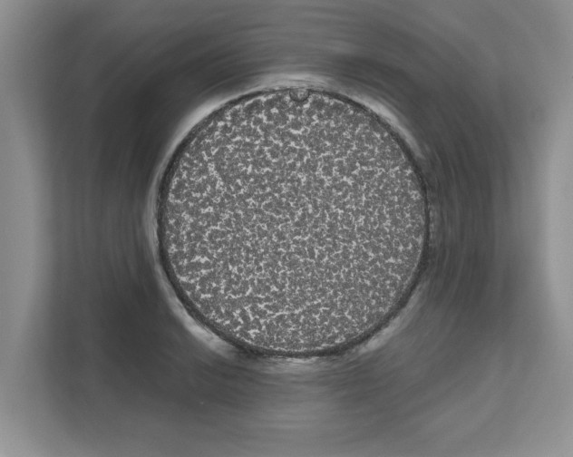 X0000111051038200907231552