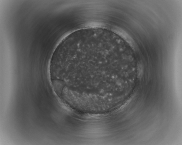 X0000111051039200907231552