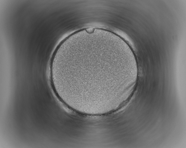 X0000111051040200907231552