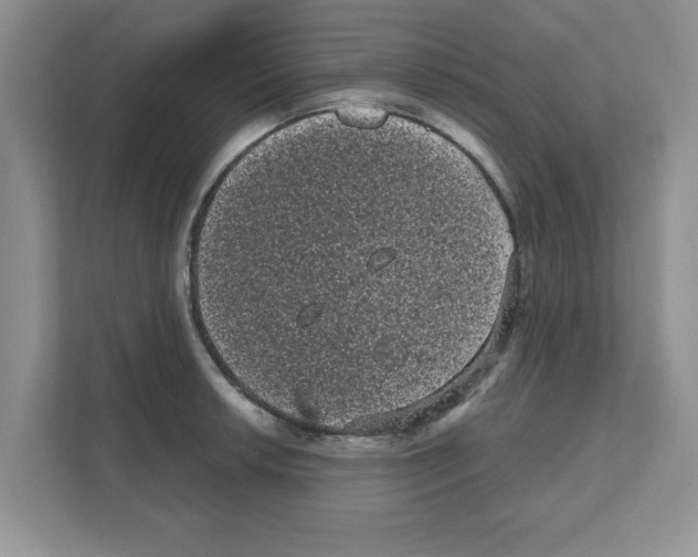 X0000111051042200907231552