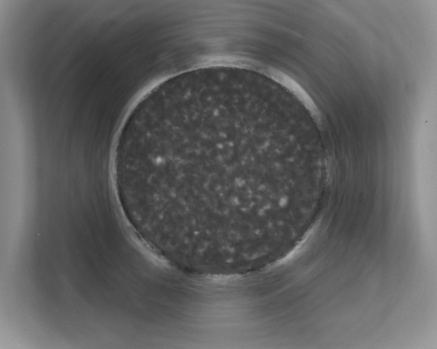 X0000111051043200907231552