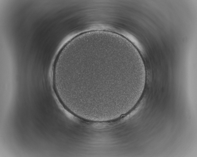 X0000111051046200907231552