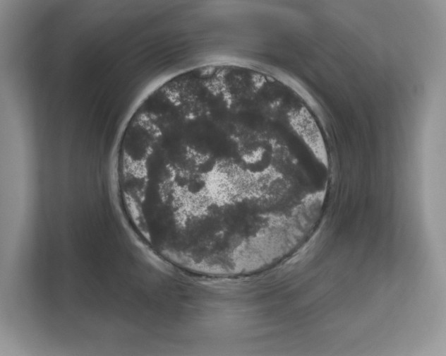 X0000111051048200907231552