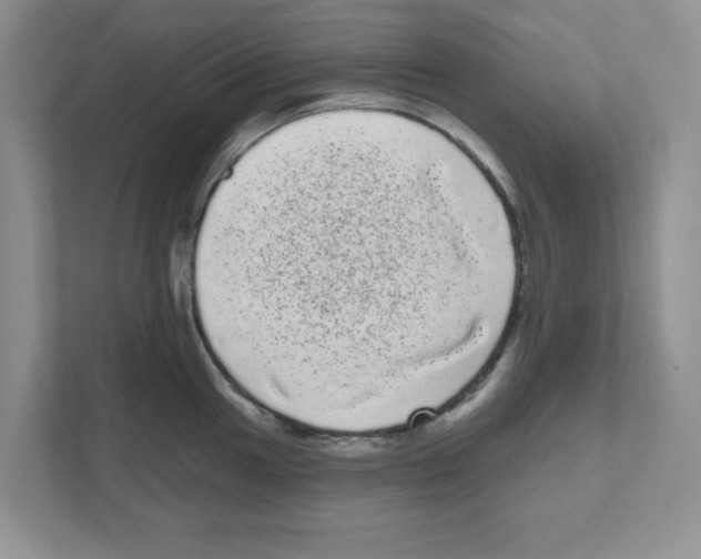 X0000111051049200907231552