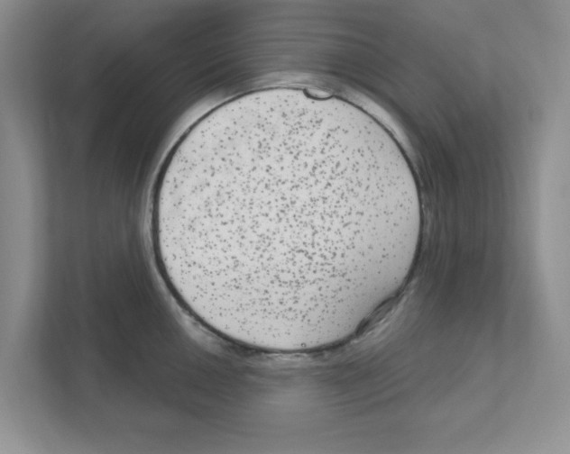 X0000111051050200907231552