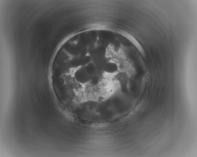 X0000111051051200907231552