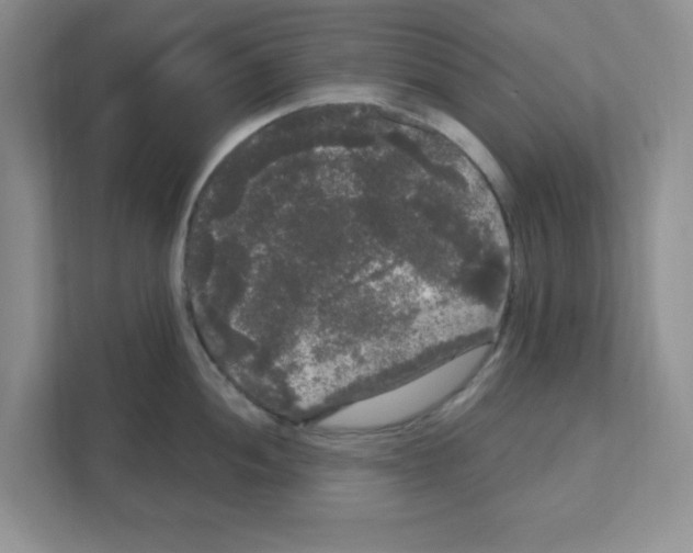 X0000111051052200907231552