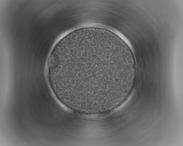 X0000111051053200907231552