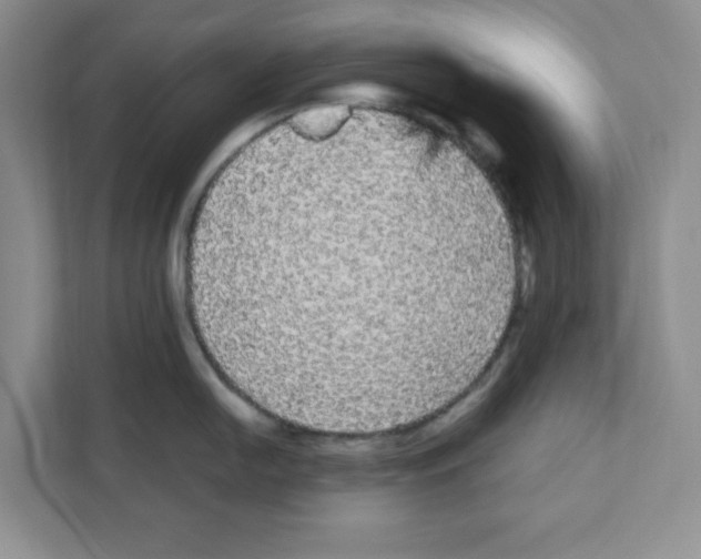 X0000111051054200907231552