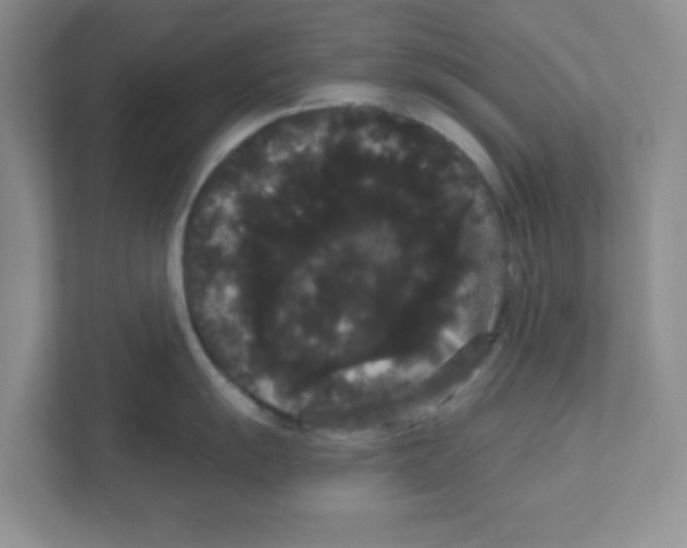 X0000111051055200907231552