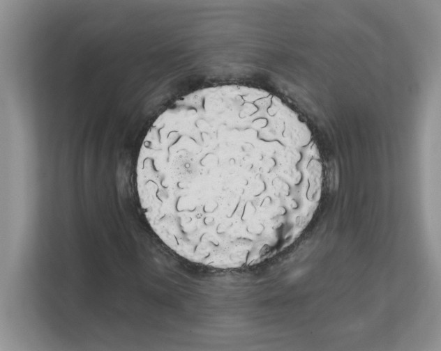 X0000111051059200907231551