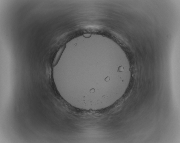 X0000111051061200907231551