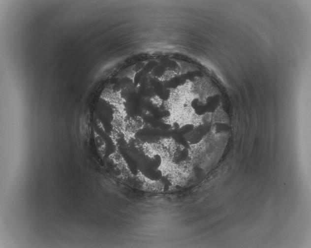 X0000111051063200907231551