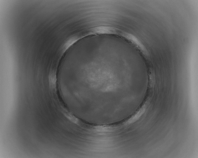 X0000111051065200907231551