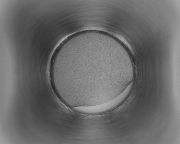 X0000111051068200907231551