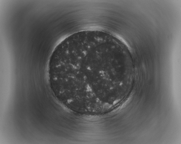 X0000111051071200907231551