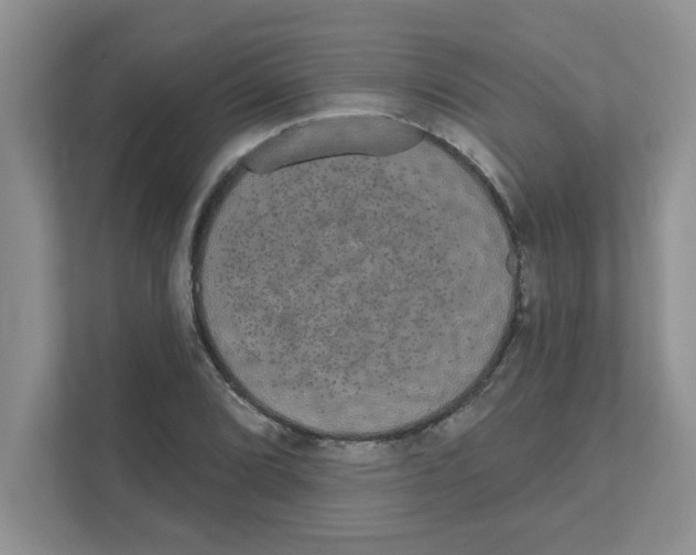 X0000111051072200907231551