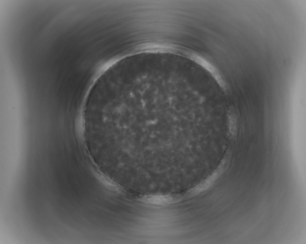 X0000111051074200907231551