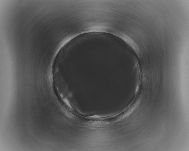 X0000111051077200907231551