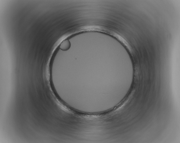 X0000111051082200907231551