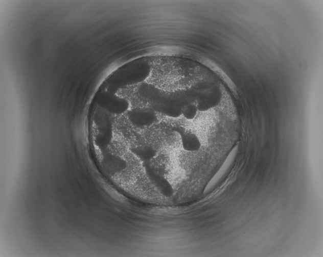 X0000111051083200907231551