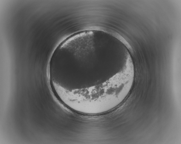 X0000111051084200907231551