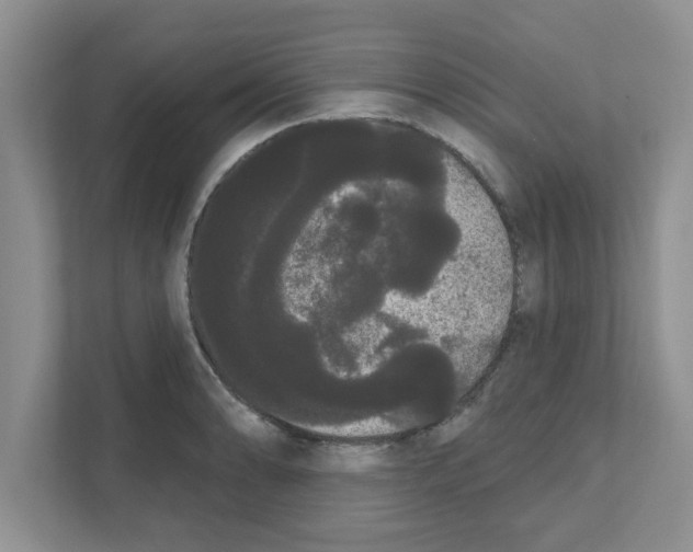 X0000111051086200907231551