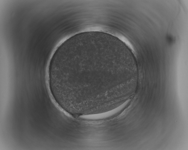 X0000111051088200907231551