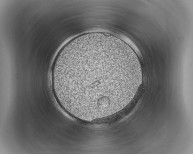 X0000111051092200907231551