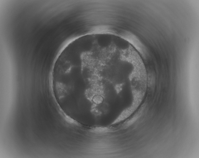 X0000111051094200907231551