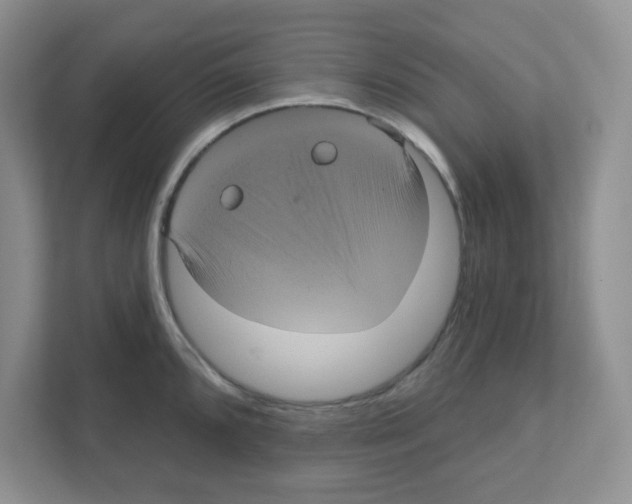 X0000111051096200907231551