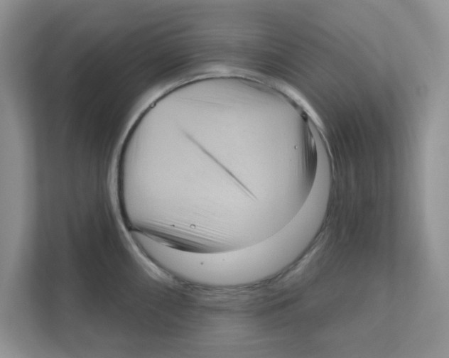 X0000111051098200907231551