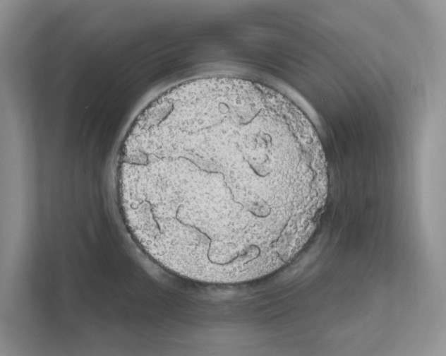 X0000111051099200907231551