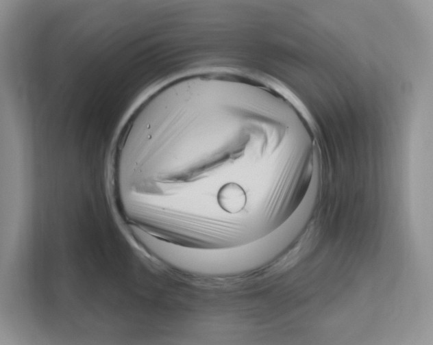 X0000111051101200907231551