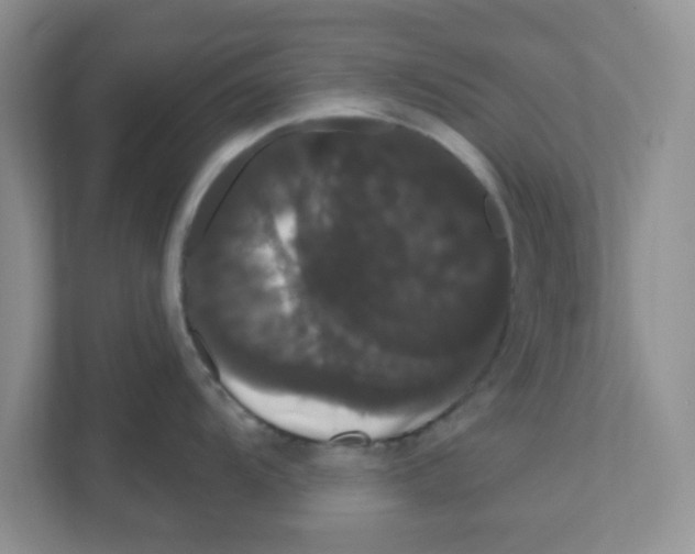 X0000111051104200907231551