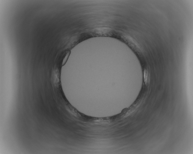 X0000111051107200907231550