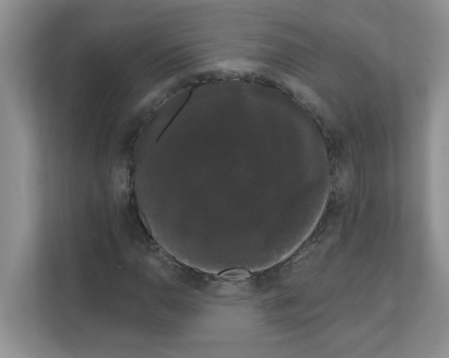 X0000111051110200907231550