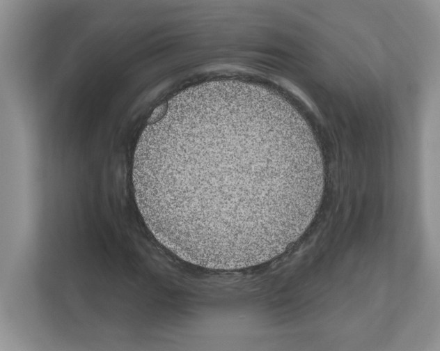 X0000111051111200907231550